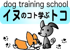 イヌのコト学ぶトコ
